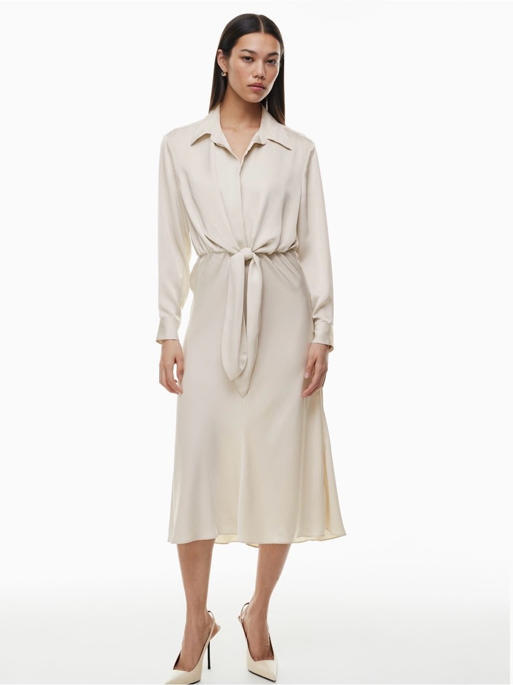 Aritzia Trench Dress